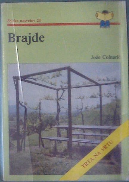 Brajde - trta na vrtu