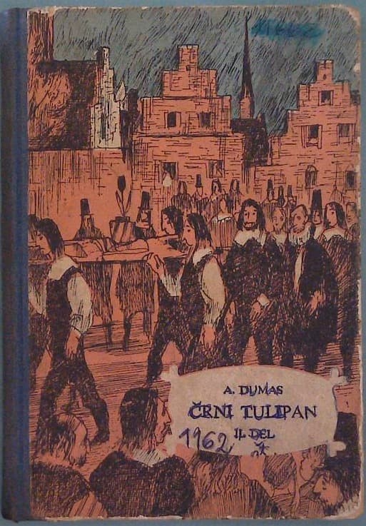 Črni tulipan II.