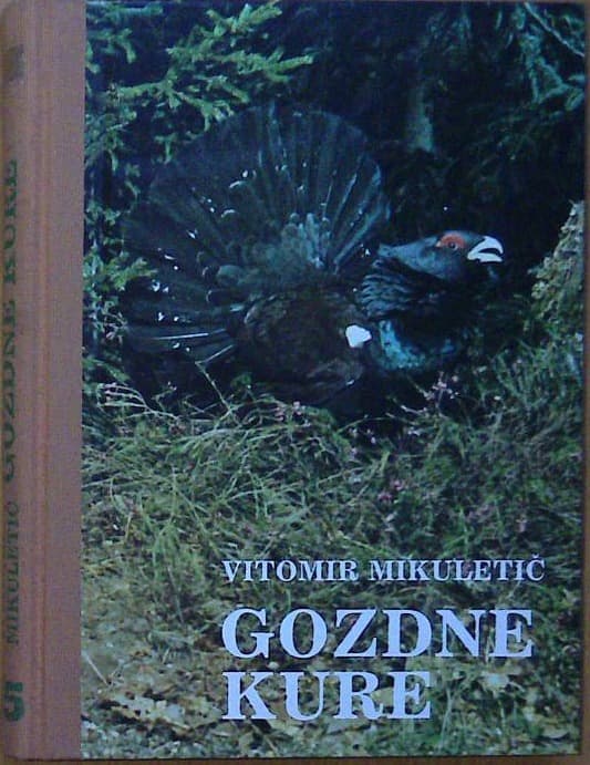 Gozdne kure