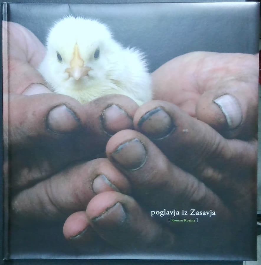 Poglavja iz Zasavja
