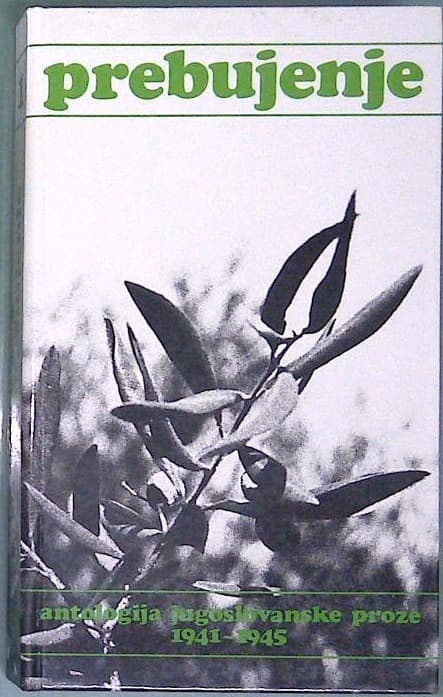 Prebujenje 1