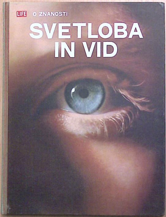 Svetloba in vid